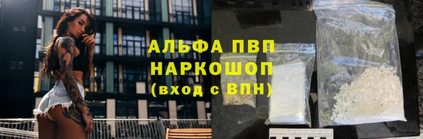 спайс Вяземский
