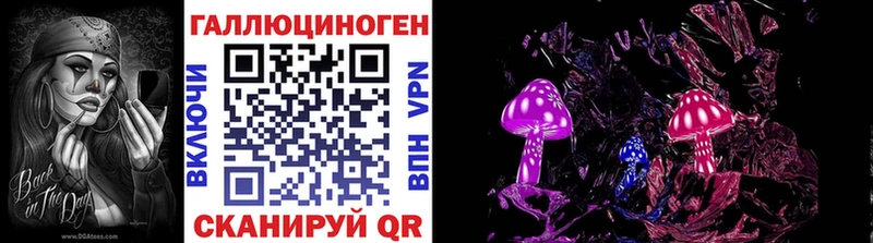 Псилоцибиновые грибы Psilocybe  Купить  Кувшиново 